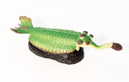 訳あって絶滅しました展で購入したオパビニアフュギュア