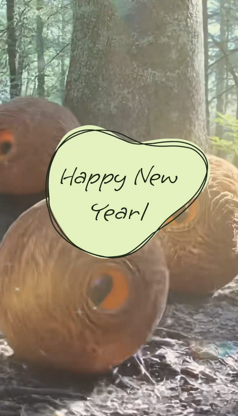 Happy New Year 2026 !