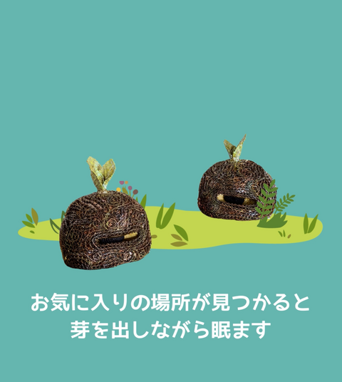 ミルミルの一生
