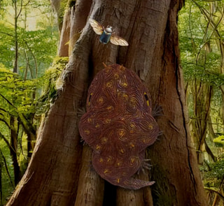 キハダカメトカゲ